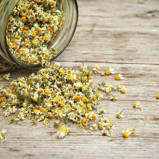 Chamomile Dried Herb (Matricaria recutita)