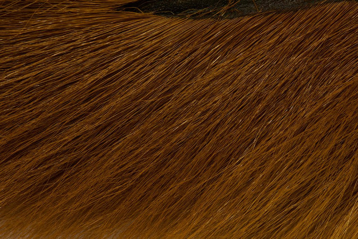 Brown Olive