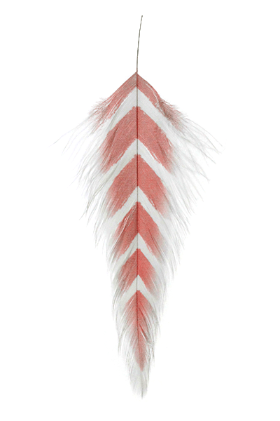 Galloup's Fish Feathers - Arrowhead - Spawn Fly Fish - Montana Fly Company