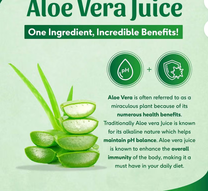 Marnys Aloe Vera Juice 500 mL Marnys