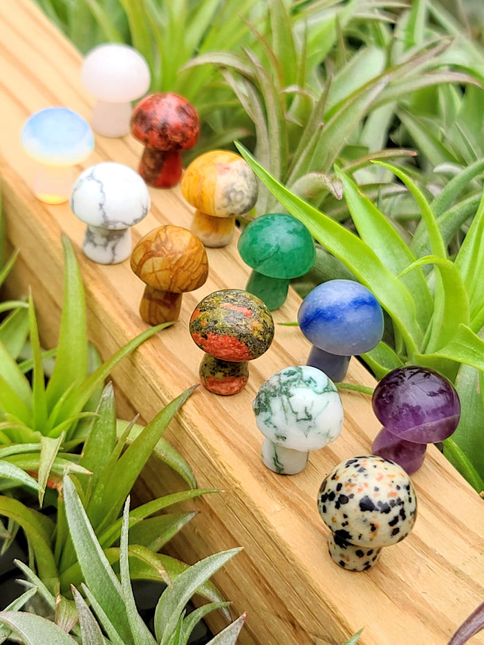 12pc Mini Crystal Mushroom Set