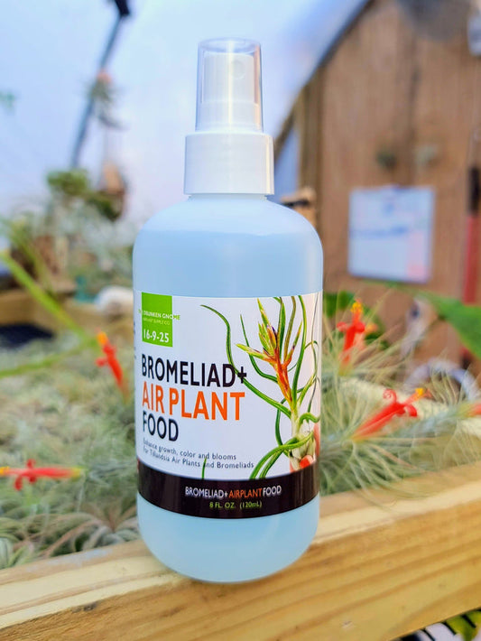 8oz Air Plant Food and Fertilizer