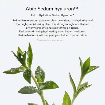 Abib Sedum Hyaluron Creme 80ml