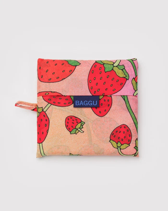 Big Reusable Baggu