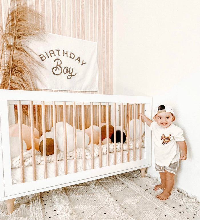 Birthday Boy Banner