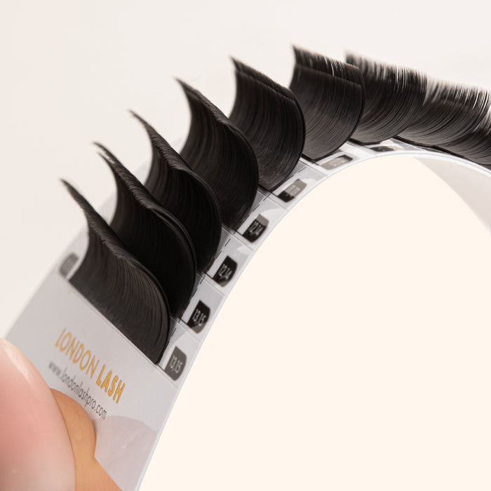 CAMELLIA - TEXTURED EASY FANNING VOLUME LASHES 0.05