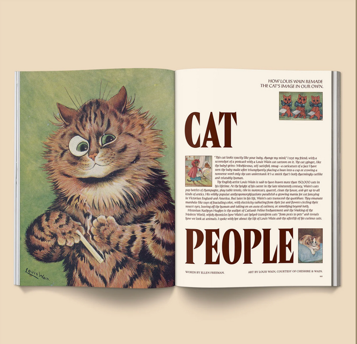 Catnip Magazine Vol. 2