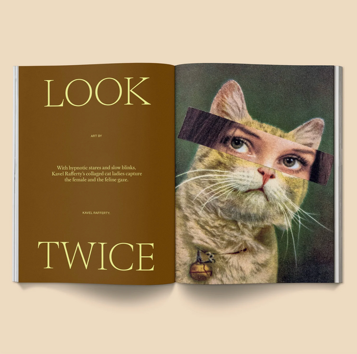 Catnip Magazine Vol. 2