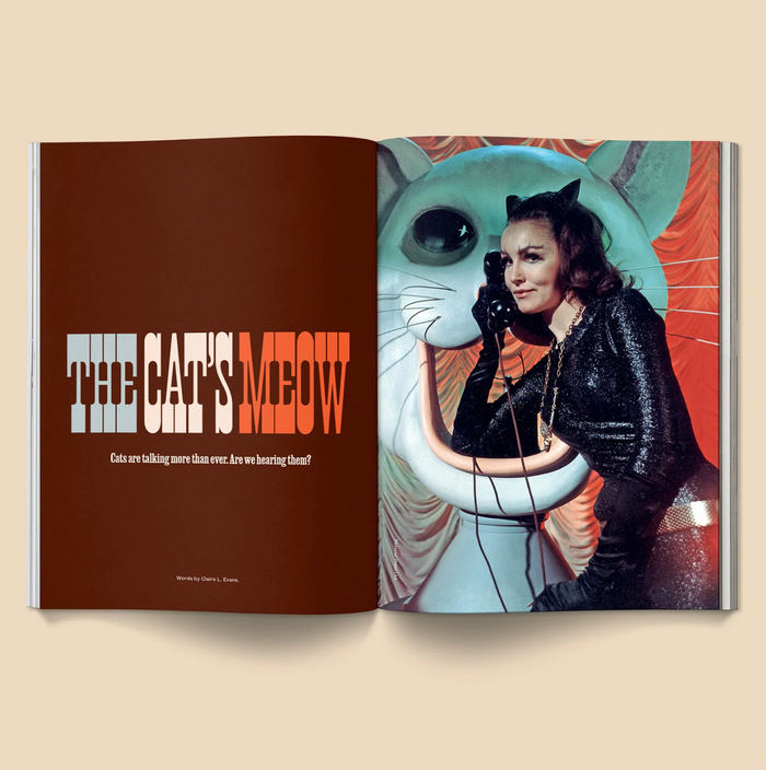 Catnip Magazine Vol. 2