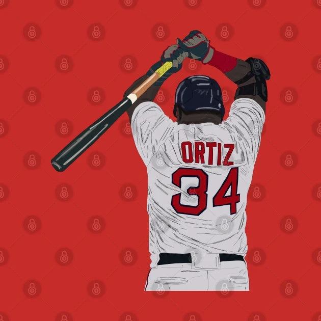 David Ortiz T-Shirt