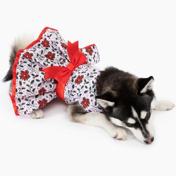 Doggie Design Holiday Holly Dog Dress With Leash