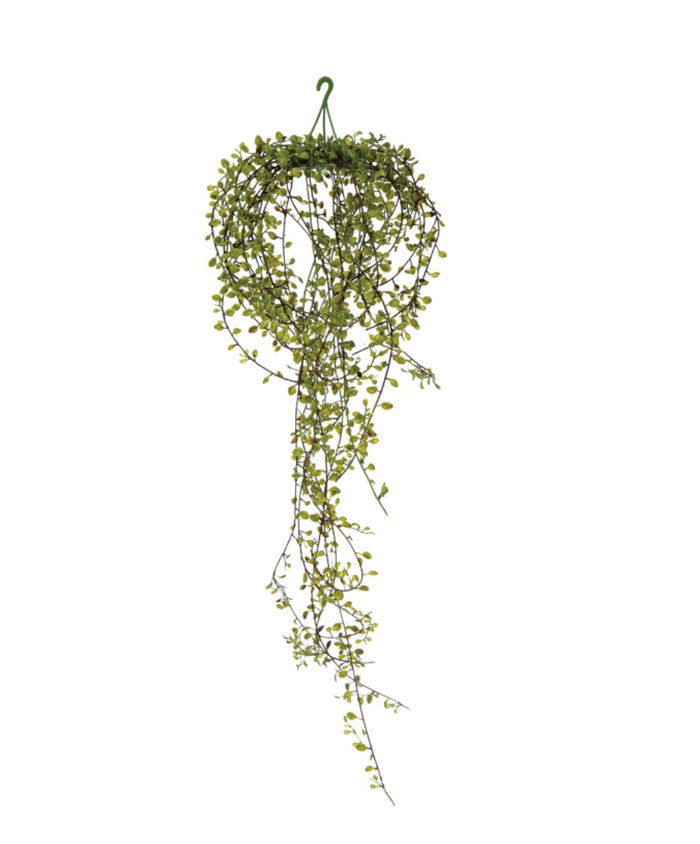 Faux Trailing Plant