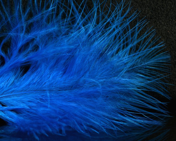 Dark Turquoise / Kingfisher Blue