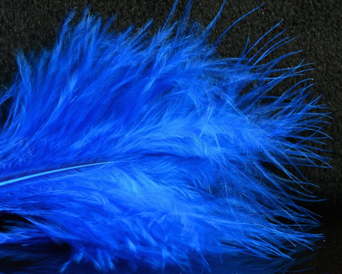 Electric Blue