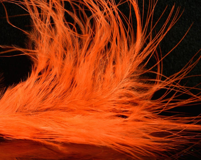 Hot Orange