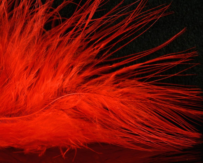 Hot Red