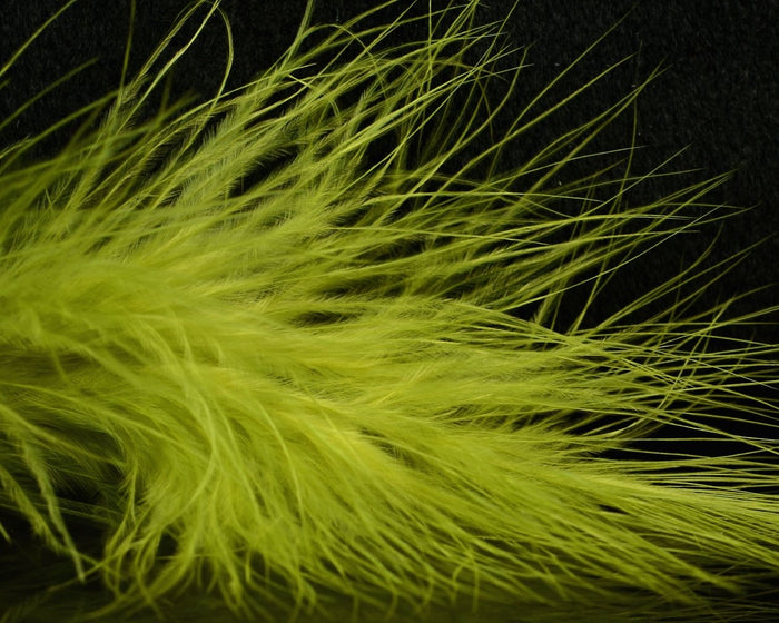Medium Olive