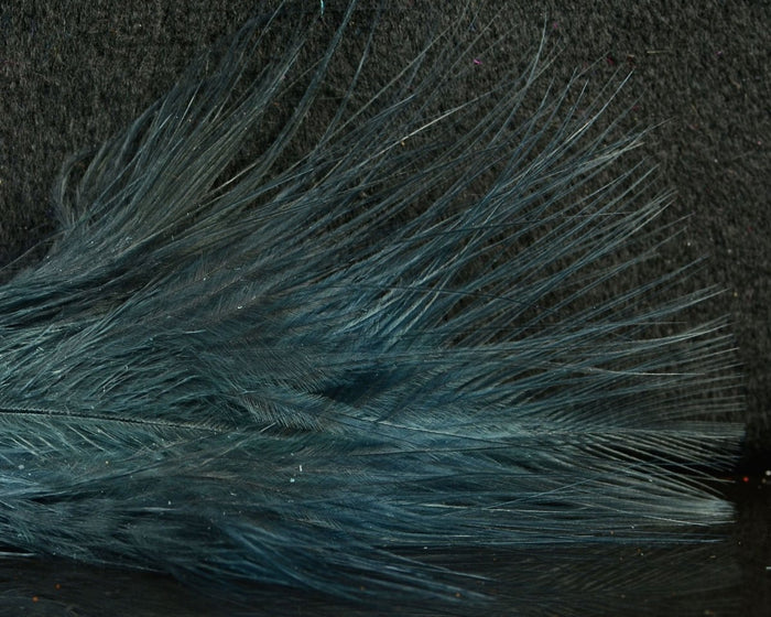 UV Black