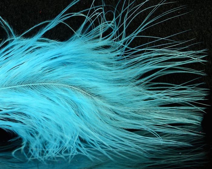 UV Fluorescent Blue