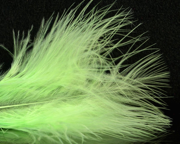 UV Fluorescent Melon