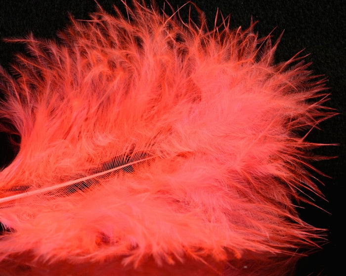 UV Fluorescent Shrimp Pink