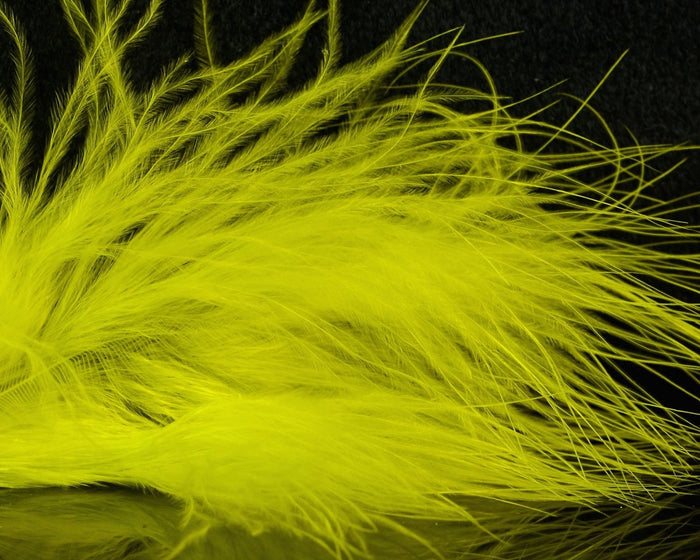 Yellow Olive
