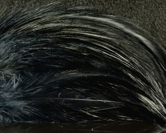 UV Black