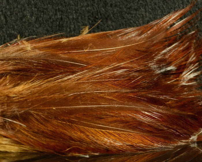 UV Brown