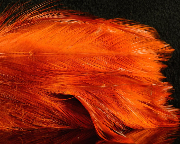 UV Crawfish Orange