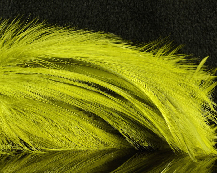 UV Medium Olive
