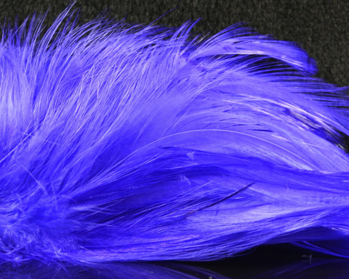 UV Purple
