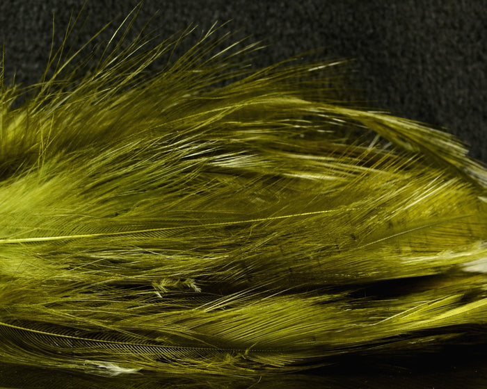 Fish Hunter Neck Hackle - Spawn Fly Fish - Fish Hunter