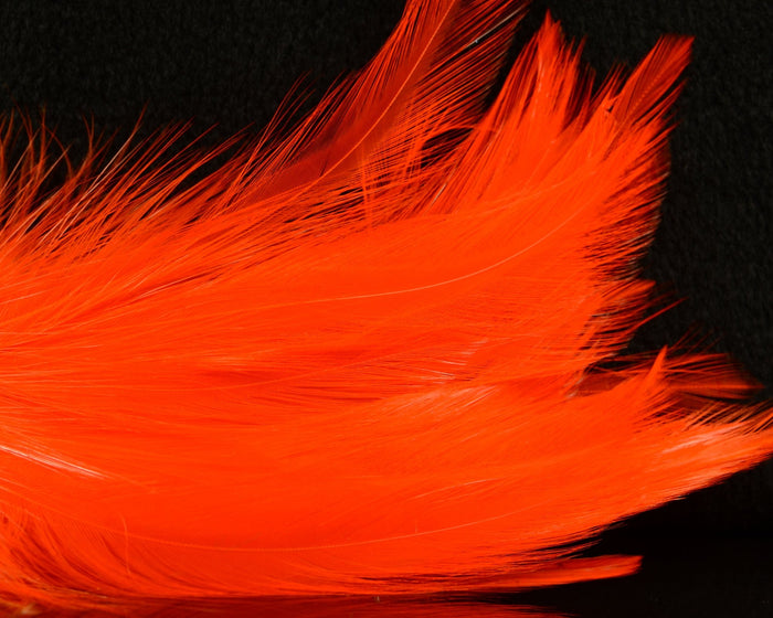 Fish Hunter Neck Hackle - Spawn Fly Fish - Fish Hunter