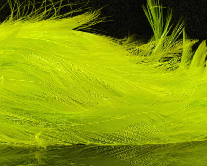 Light Olive