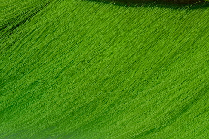 Fl. Chartreuse