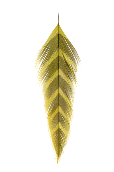 Galloup's Fish Feathers - Arrowhead - Spawn Fly Fish - Montana Fly Company