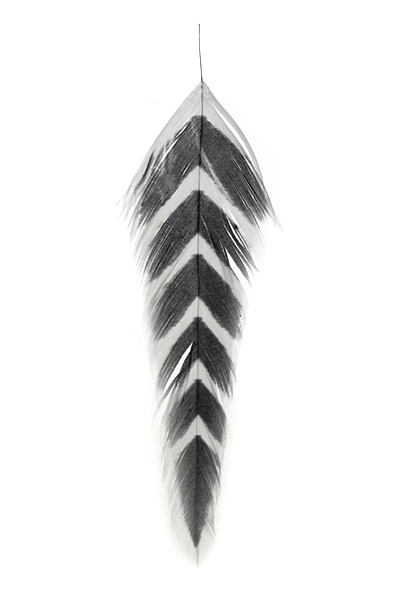 Galloup's Fish Feathers - Arrowhead - Spawn Fly Fish - Montana Fly Company