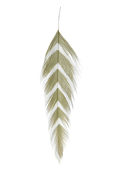 Galloup's Fish Feathers - Arrowhead - Spawn Fly Fish - Montana Fly Company