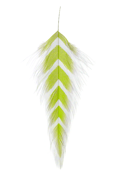 Galloup's Fish Feathers - Arrowhead - Spawn Fly Fish - Montana Fly Company