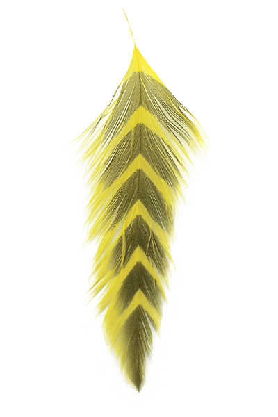 Galloup's Fish Feathers - Arrowhead - Spawn Fly Fish - Montana Fly Company