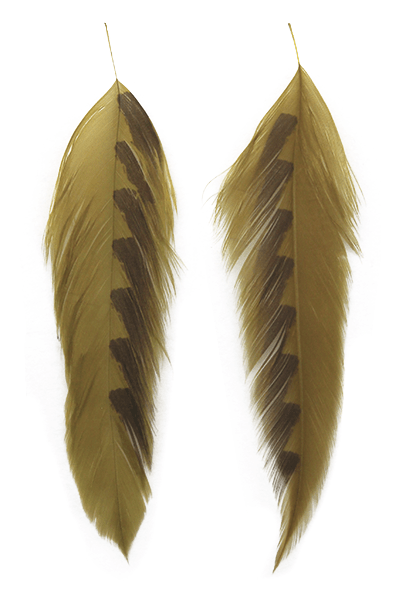 Galloup's Fish Feathers - Shark Fin - Spawn Fly Fish - Montana Fly Company