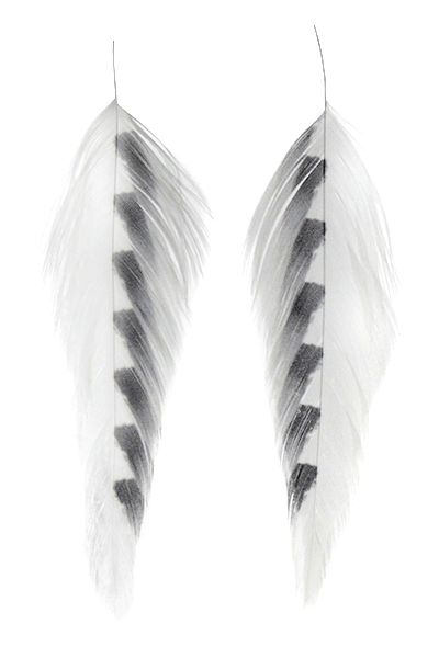 Galloup's Fish Feathers - Shark Fin - Spawn Fly Fish - Montana Fly Company
