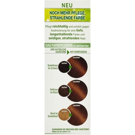 Garnier Nutrisse Crème Hair Dye – Golden Brown with Fruit Oils