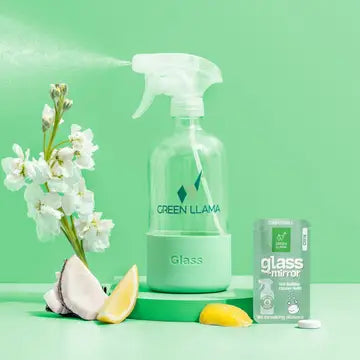 glass & window cleaner kit - citrus