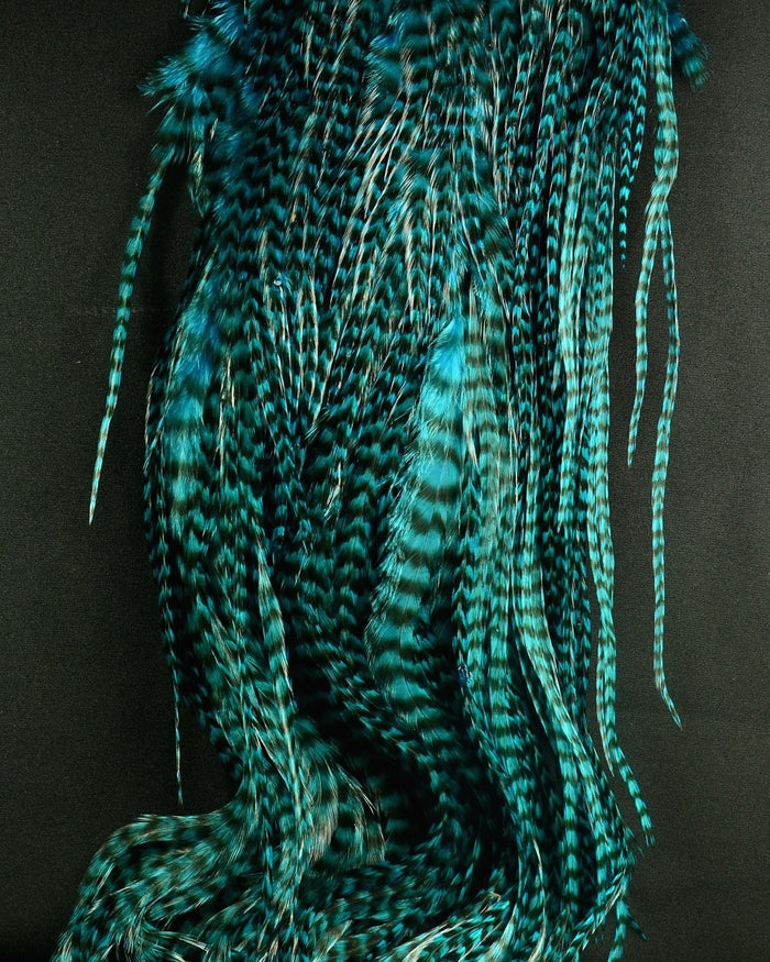 Teal Blue