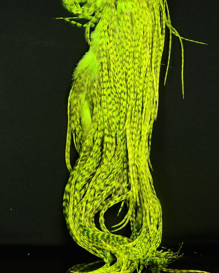 Hareline Half Grizzly Saddle - Spawn Fly Fish - Hareline Dubbin