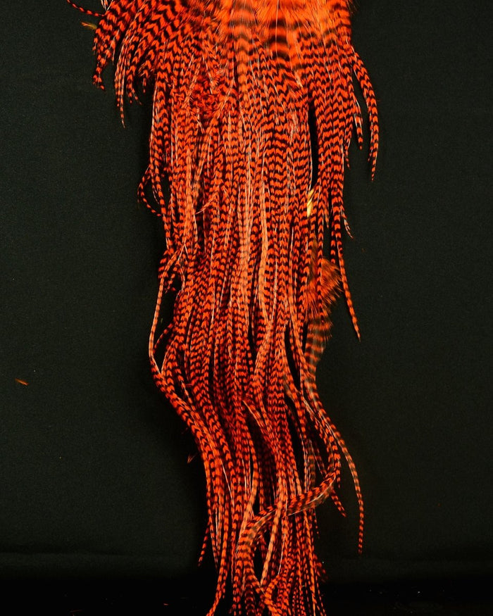 Hareline Half Grizzly Saddle - Spawn Fly Fish - Hareline Dubbin