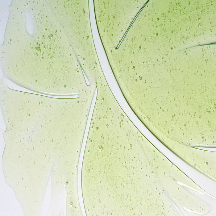 Herbalism Shampoo