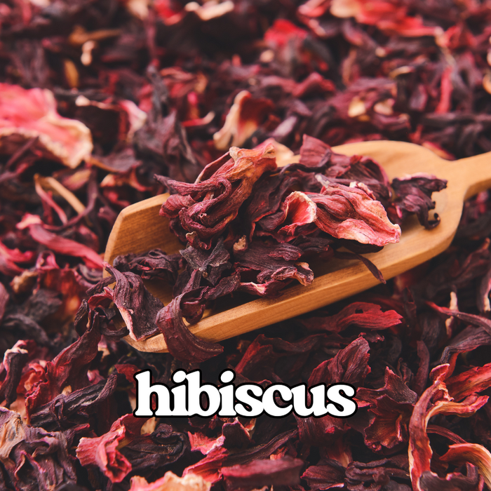 Hibiscus