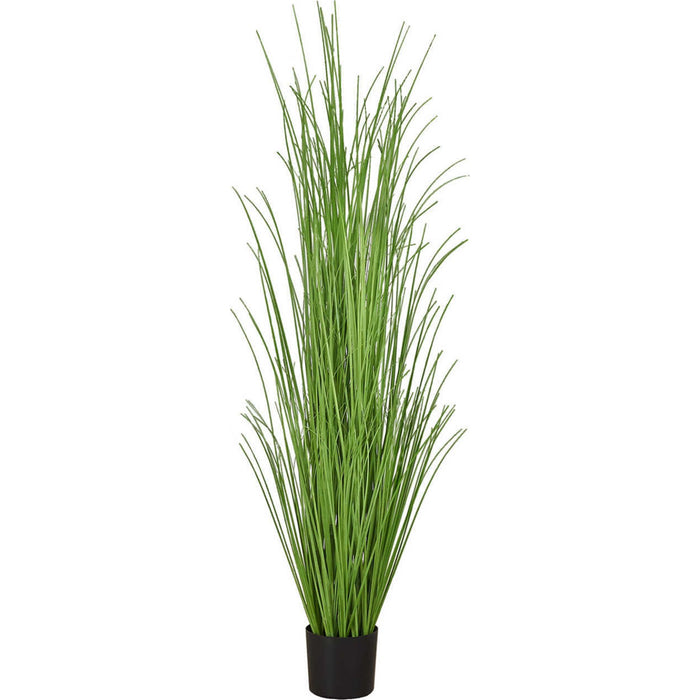 Indoor Grass - 47" Artificial Plant in a 5" Pot